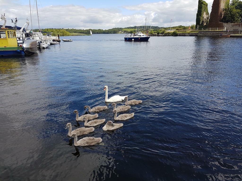 The Waterside Cottages Nenagh Εξωτερικό φωτογραφία